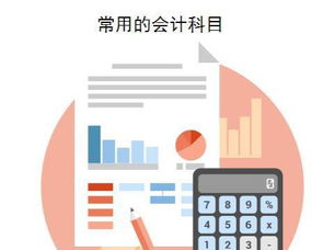 總分類(lèi)會(huì )計科目設置的內容