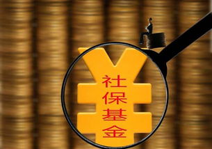 社保基金會(huì )計科目投資收益