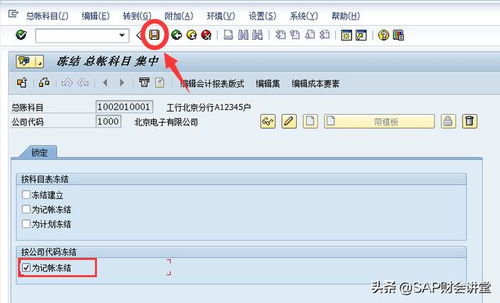 sap中凍結會(huì )計科目表