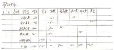 明細,會(huì )計科目,包括,分類(lèi)
