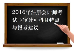 審計,會(huì )計科目,建議