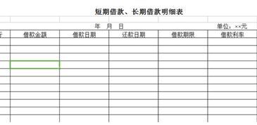 借款,長(cháng)期,名稱(chēng),會(huì )計科目