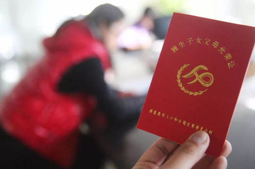 獨生子,發(fā)放,會(huì )計科目
