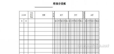 明細賬,會(huì )計科目,用三欄式登