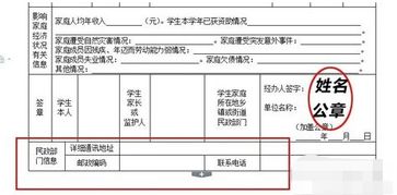 鄉鎮民政所會(huì )計科目