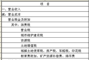 計提個(gè)稅進(jìn)哪個(gè)會(huì )計科目