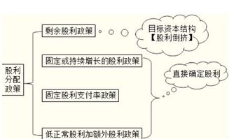 股利分配在哪個(gè)會(huì )計科目