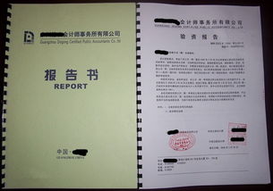 驗資報告計什么會(huì )計科目