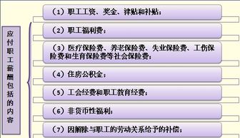 培訓費,幼兒園,會(huì )計科目
