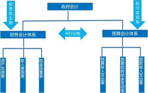 會(huì )計科目,政府