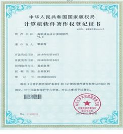 軟件著作權(quán)資助經(jīng)費(fèi)會(huì)計(jì)科目