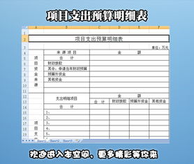 明細,預算,會(huì )計科目,設置