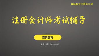 攤余成本會(huì )計科目