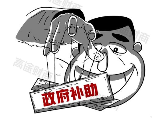 補(bǔ)貼,會(huì)計(jì)科目,政府