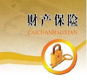 財(cái)產(chǎn)保險(xiǎn)費(fèi)計(jì)入什么會計(jì)科目,年度財(cái)產(chǎn)保險(xiǎn)費(fèi)計(jì)入會計(jì)科目,財(cái)產(chǎn)保險(xiǎn)費(fèi)的會計(jì)科目