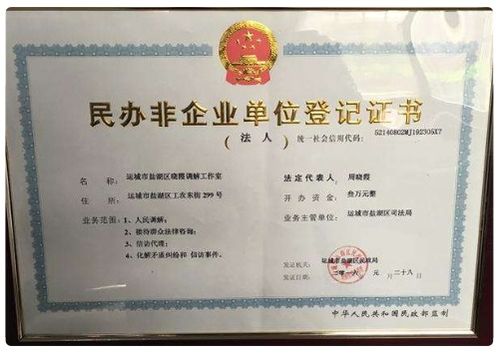 民辦非企業(yè)單位會(huì )計科目及會(huì )計報表,民辦非企業(yè)單位做賬的會(huì )計科目,民辦非企業(yè)單位會(huì )計科目及賬務(wù)處理