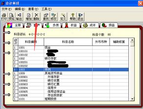 用友授權會計科目功能