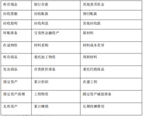 注冊會(huì )計科目東奧中華