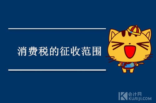 產(chǎn)品消費稅會(huì )計科目