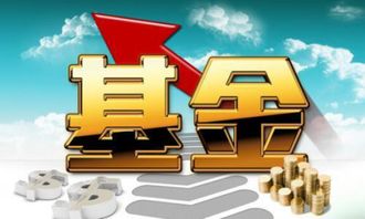 基金屬于什么會(huì )計科目,固定基金屬于什么會(huì )計科目,專(zhuān)用基金屬于什么會(huì )計科目