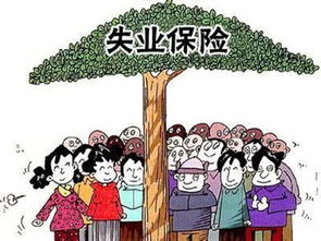 失業(yè)保險(xiǎn)金,會(huì)計(jì)科目