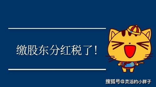 慈善行業(yè)會(huì )計科目