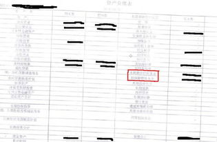 應收代償款會(huì )計科目,擔保公司應收代償款,市擔保公司財務(wù)數據及會(huì )計科目不夠具體