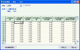 下設,核算,會(huì )計科目,項目
