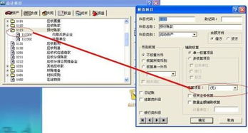 會(huì )計科目核算層級