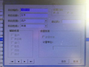 會(huì )計科目什么情況下可以自編