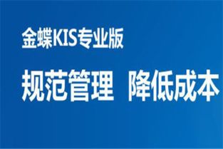金蝶專(zhuān)業(yè)版會(huì )計科目編碼的設置在哪里