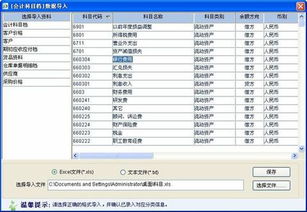 新中大會(huì )計科目導入