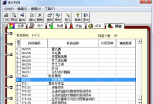 更正,錯誤,會(huì )計科目,增加