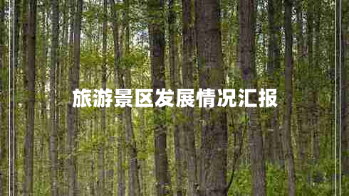 旅游景區發(fā)展情況匯報