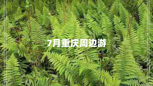 7月重慶周邊游