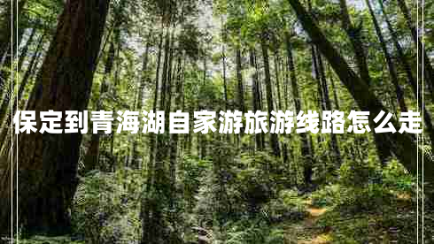 保定到青海湖自家游旅游線(xiàn)路怎么走