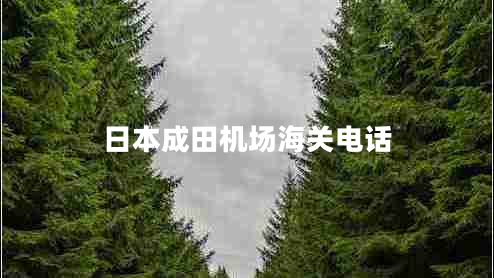 日本成田機場(chǎng)海關(guān)電話(huà)