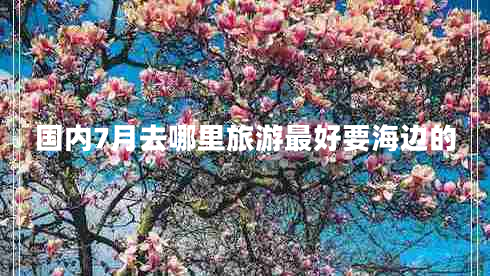 國(guó)內(nèi)7月去哪里旅游最好要海邊的