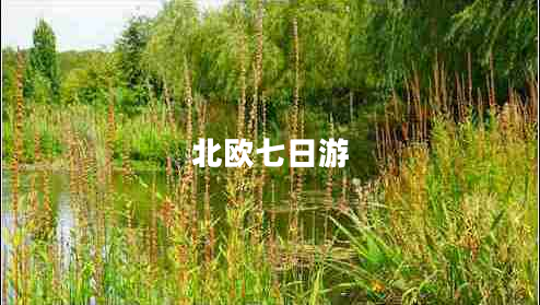 北歐七日游