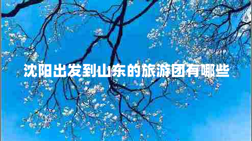 沈陽(yáng)出發(fā)到山東的旅游團有哪些