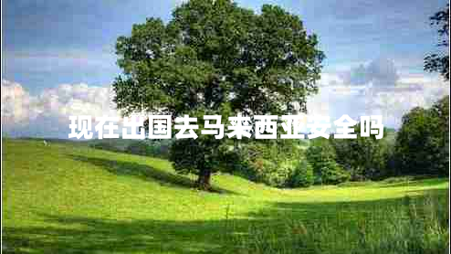 現在出國去馬來(lái)西亞安全嗎