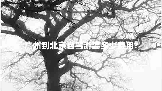 廣州到北京自駕游要多少費(fèi)用? 廣州到北京自駕游要多少費(fèi)用?