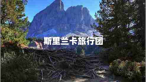 斯里蘭卡旅行團