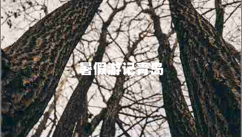 暑假游記青島