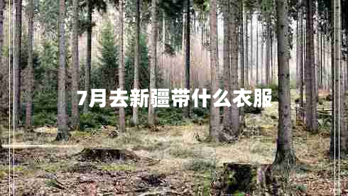 7月去新疆帶什么衣服