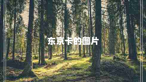 東京卡的圖片