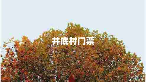 井底村門(mén)票