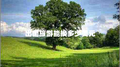 出國旅游能換多少美元