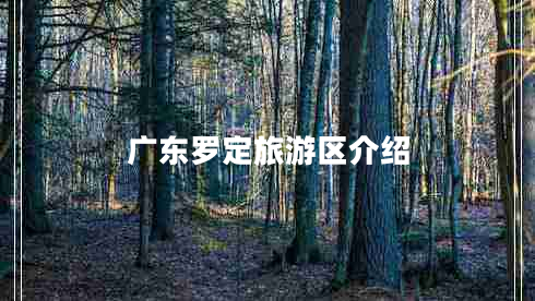 廣東羅定旅游區介紹