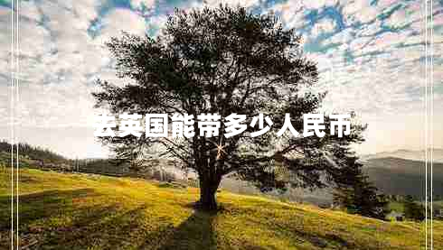 去英國能帶多少人民幣